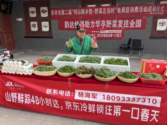 华亭：电商助力山野菜触网到云端